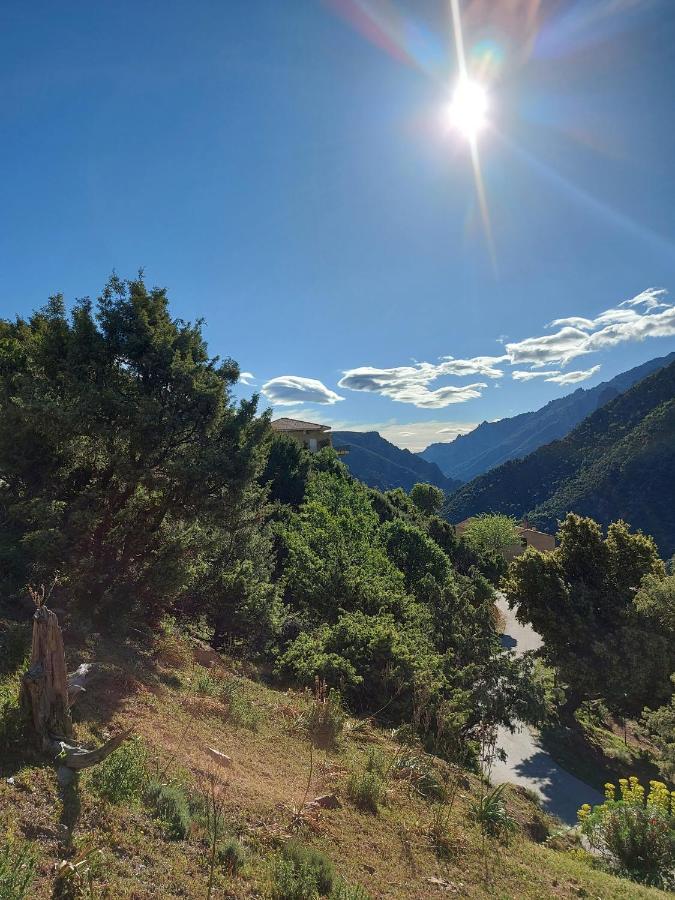 Residence E Cime Asco Locations De Studios Meubles Екстериор снимка