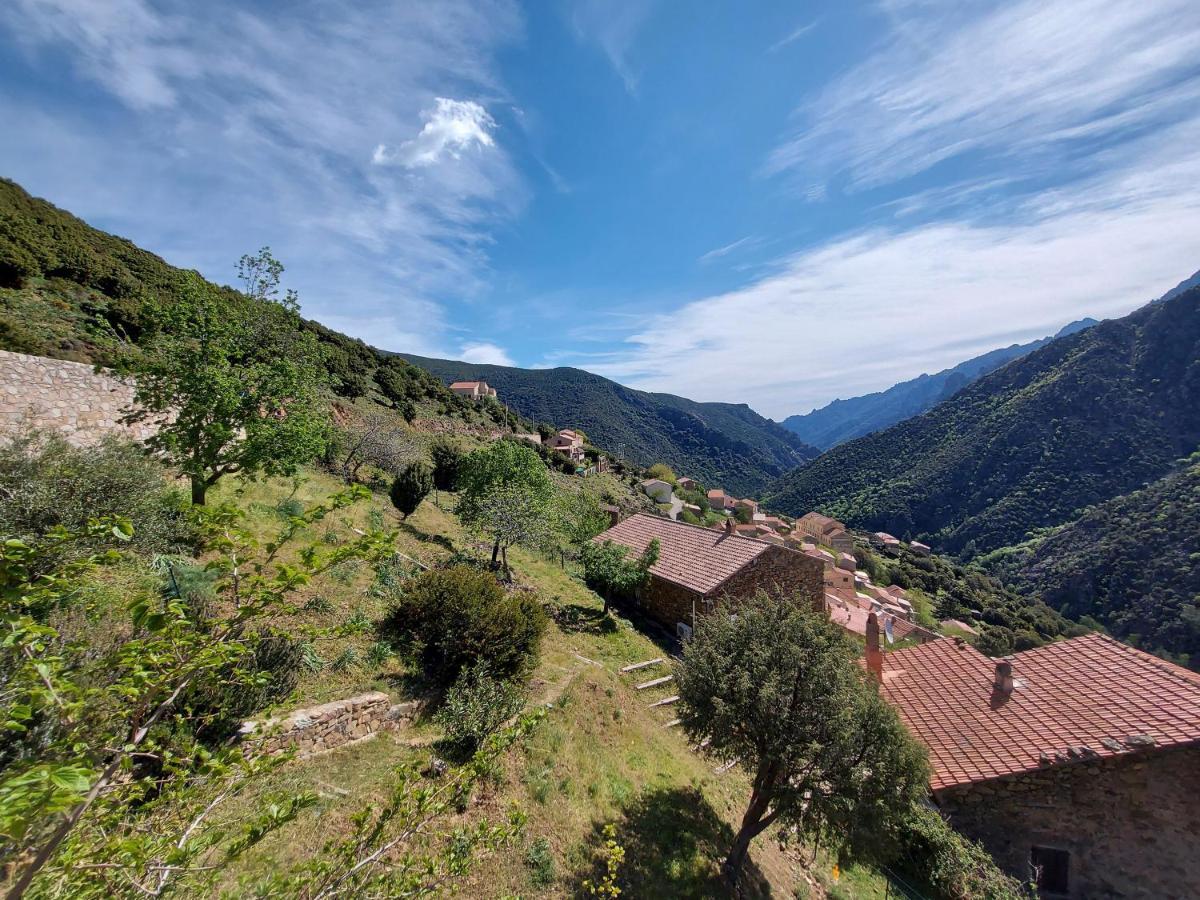 Residence E Cime Asco Locations De Studios Meubles Екстериор снимка