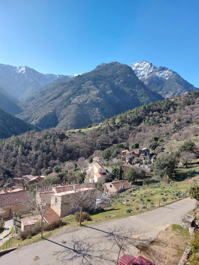 Residence E Cime Asco Locations De Studios Meubles Екстериор снимка