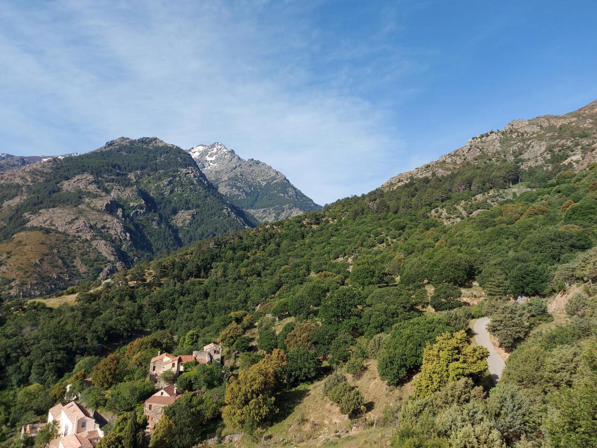 Residence E Cime Asco Locations De Studios Meubles Екстериор снимка